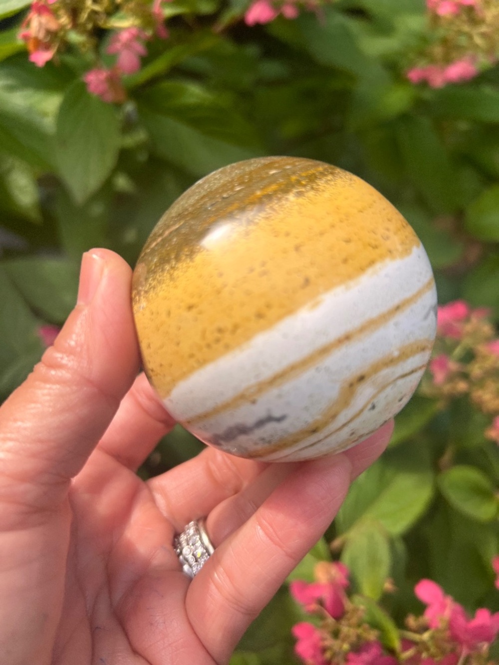 Marine (2) Jasper sphere | Crystal